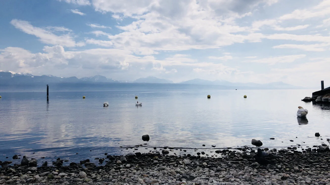 Honorable Mention - India.jpeg