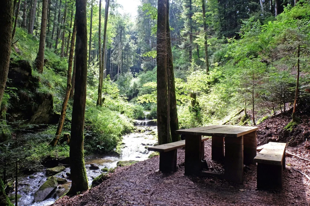 Wild Camping The Lausanne Program