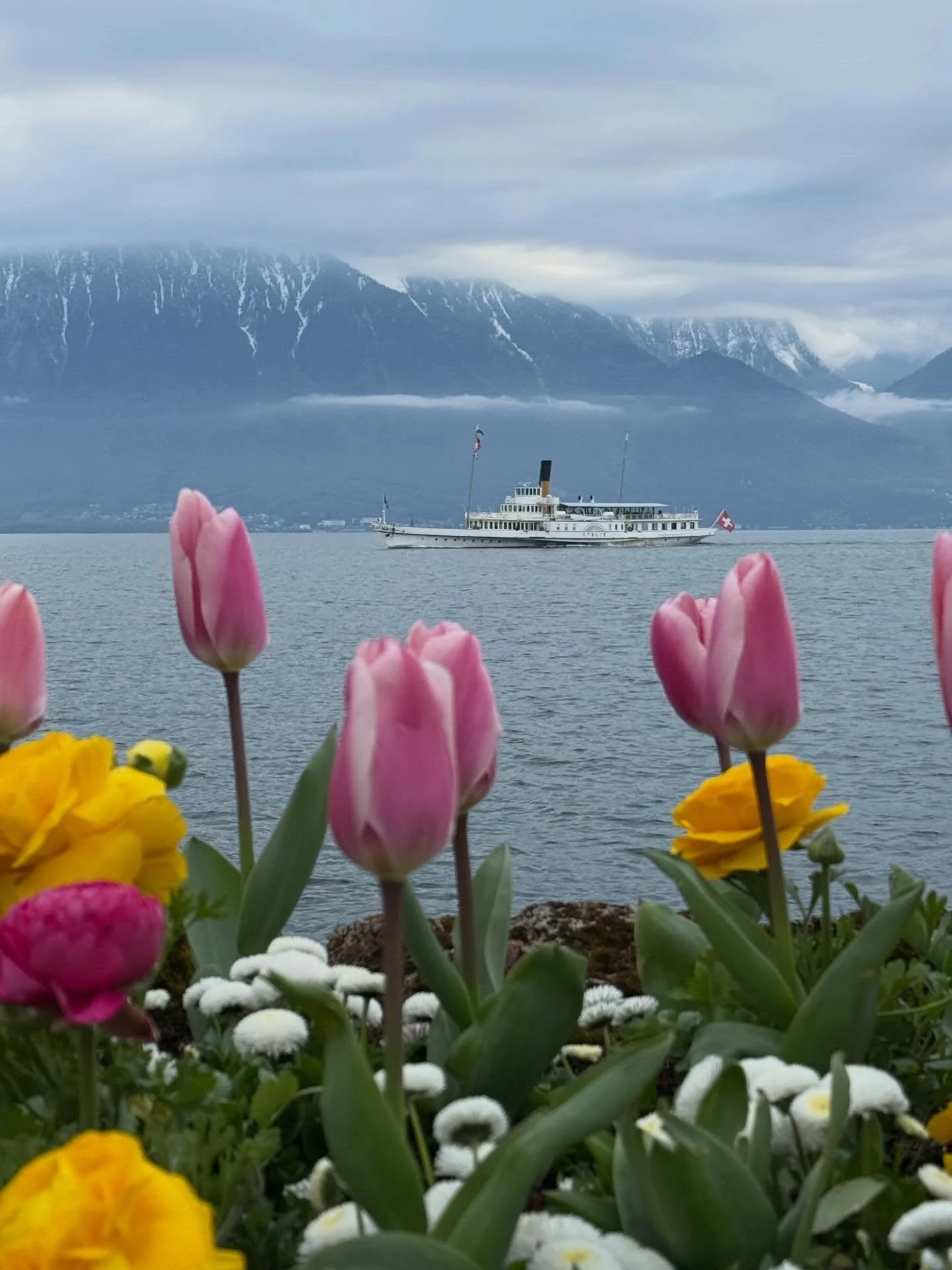 spring in switzerland. . . how can every season be so beautiful?? 🌿☀️🍁❄️❤️🇨🇭