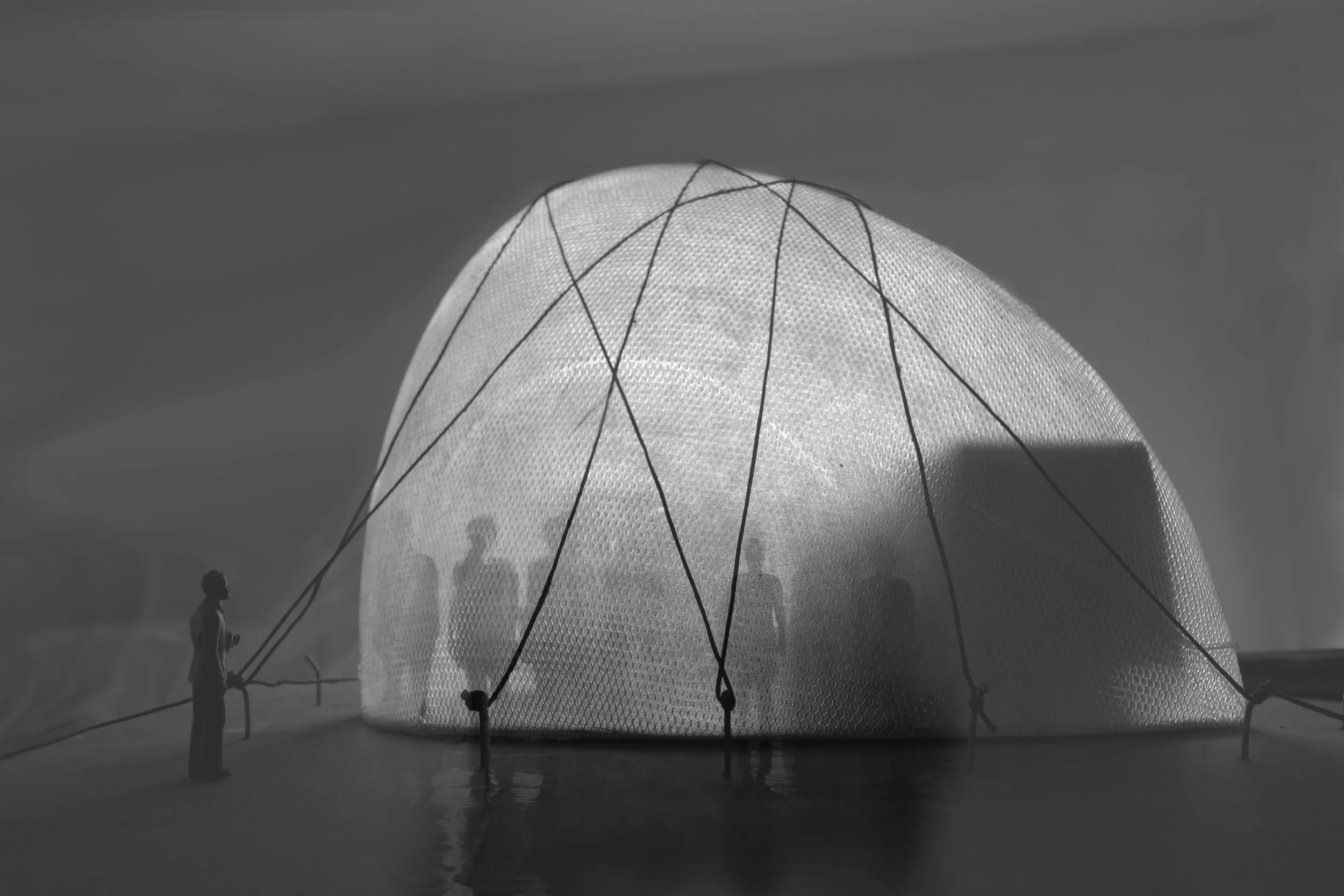 liten utifrån perspektiv svartvit.jpg