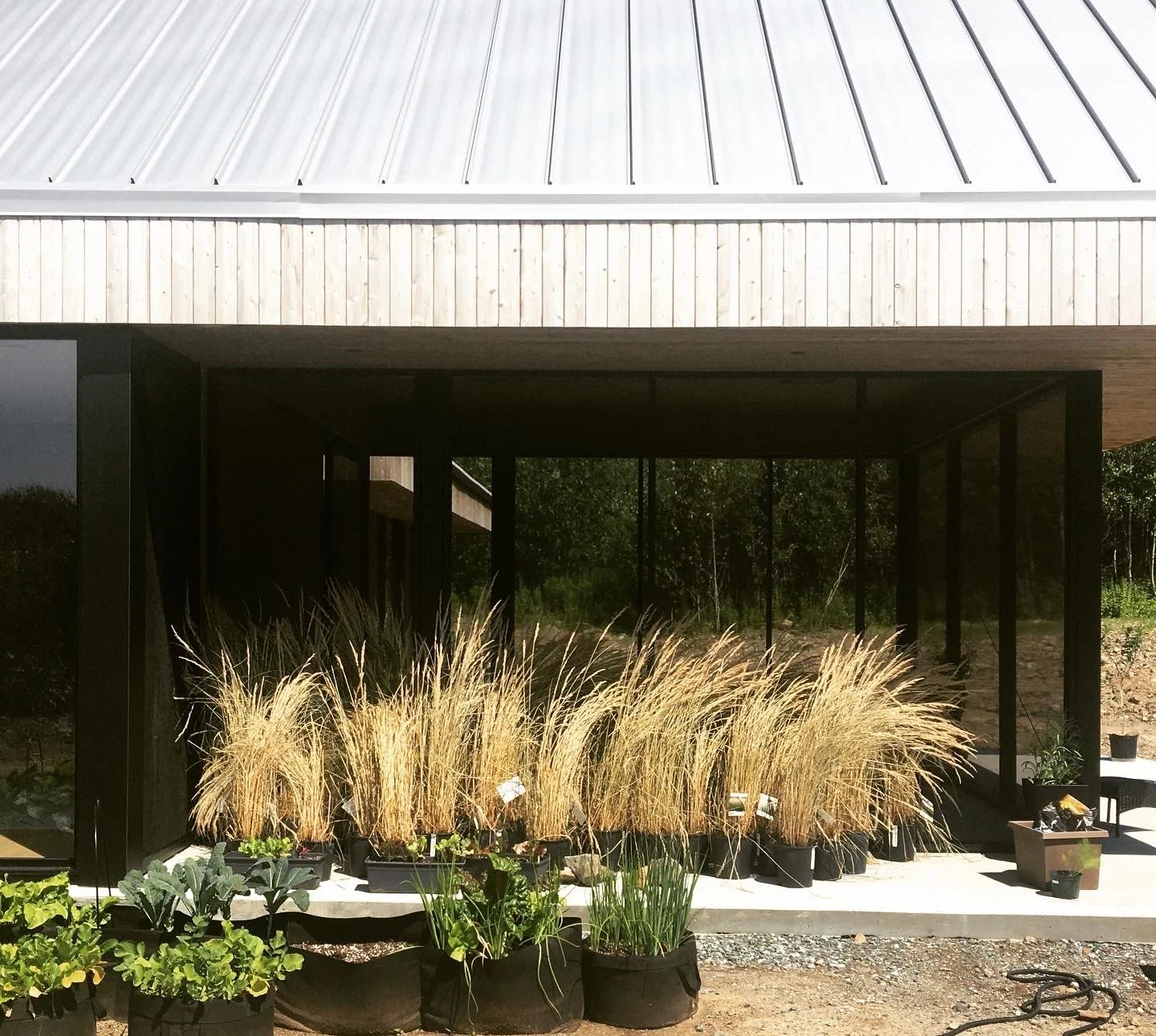 20-053 jha_terrasse 02.JPG