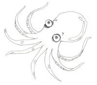 octopus.jpg
