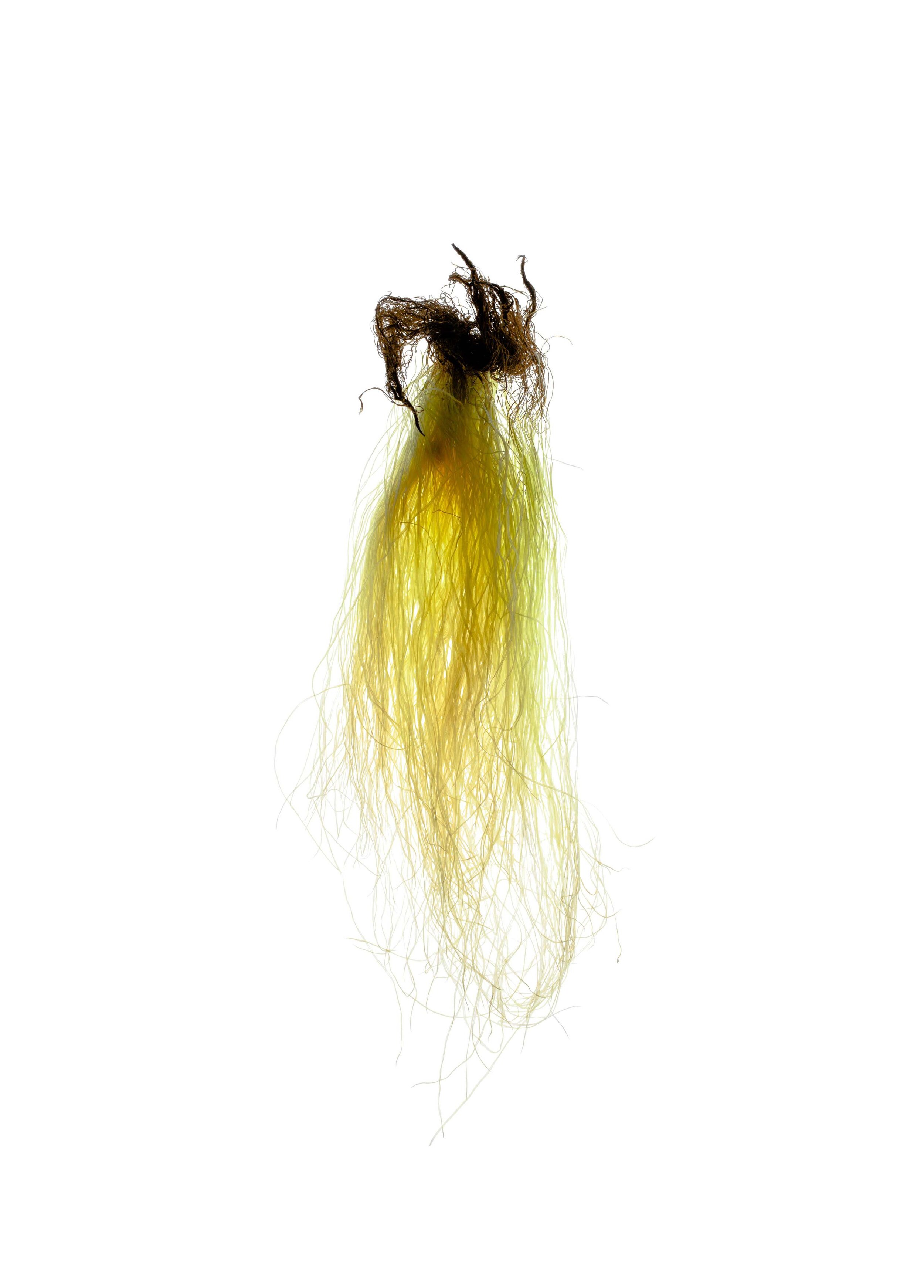 Skin – Photography Project by Cristina Jacob