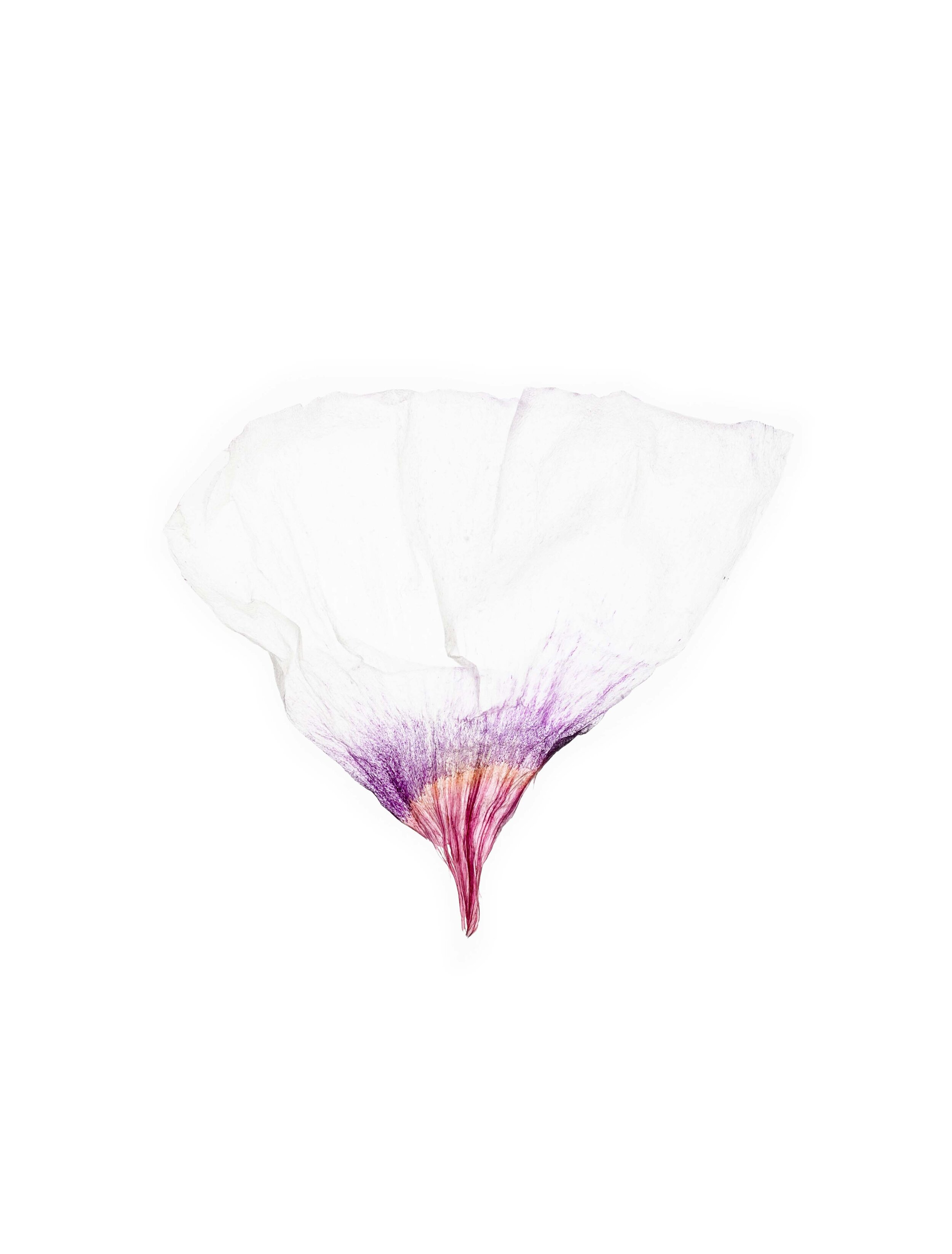 Skin – Photography Project by Cristina Jacob