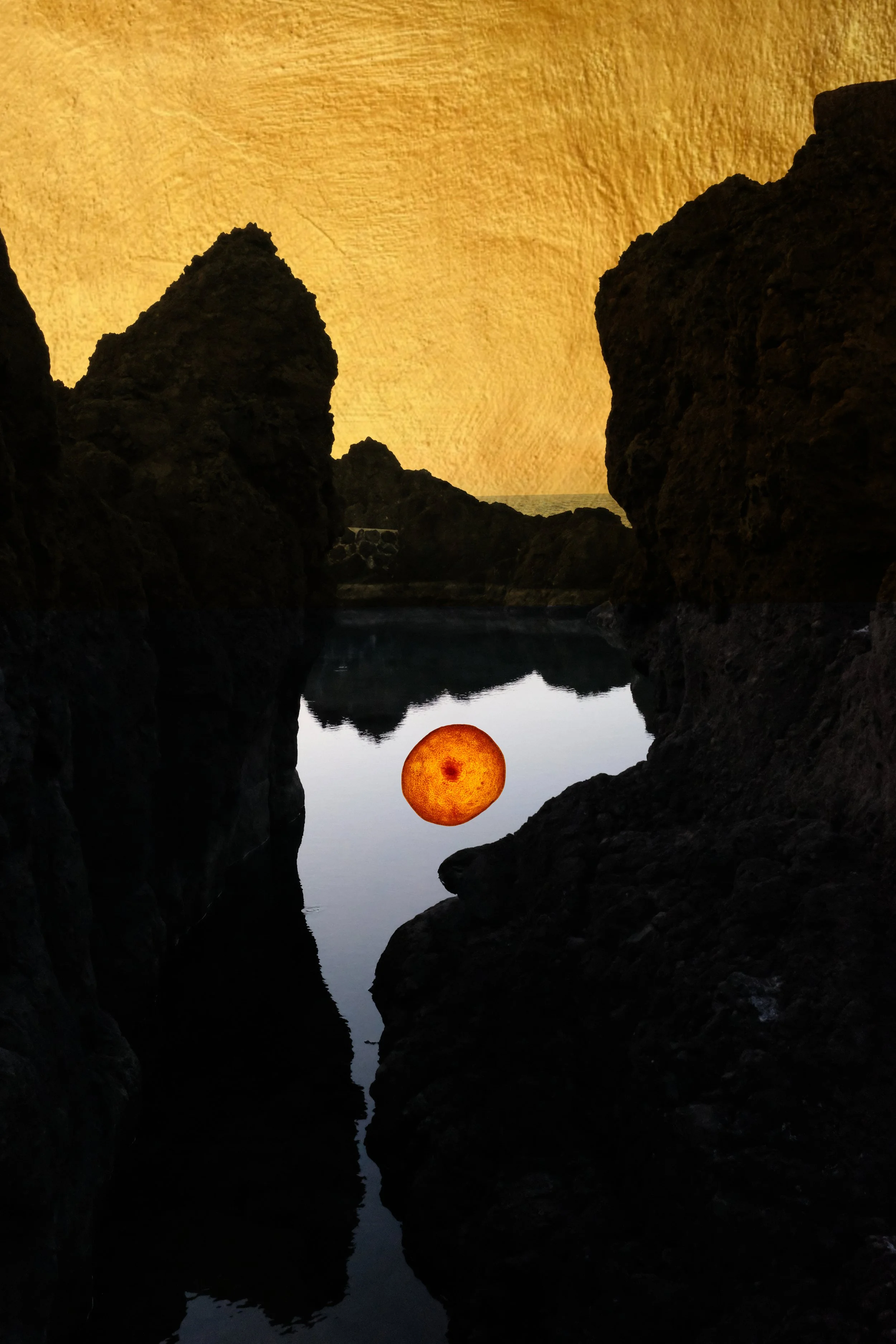 Digital photography collage by Cristina Jacob