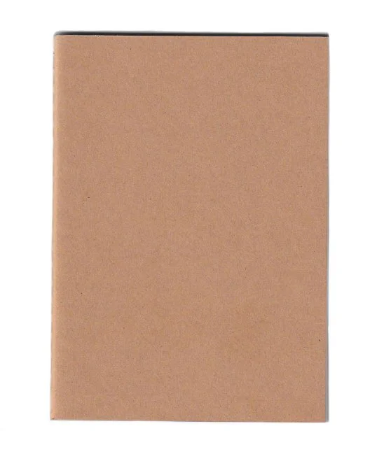 Gwendolyn: Ink drawing from the Lives of Seeds series