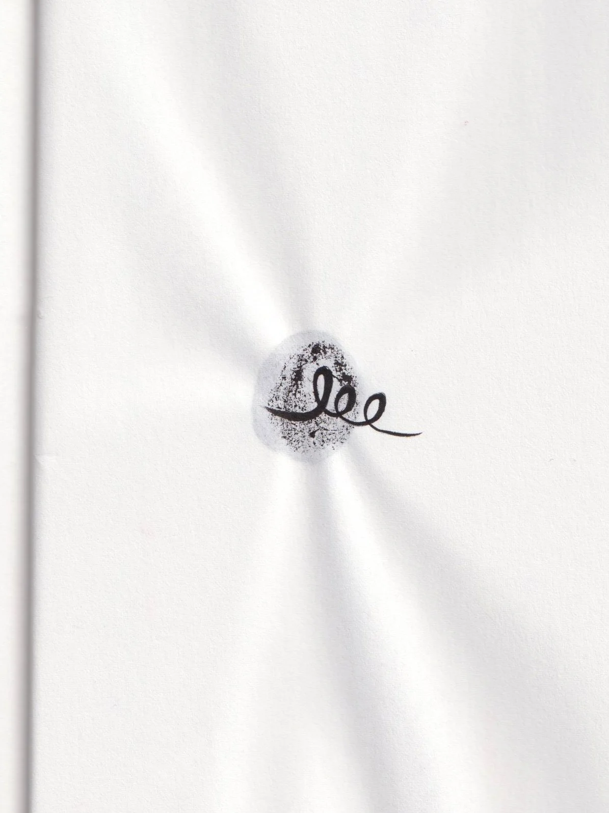 Ruth: Ink drawing from the Lives of Seeds series