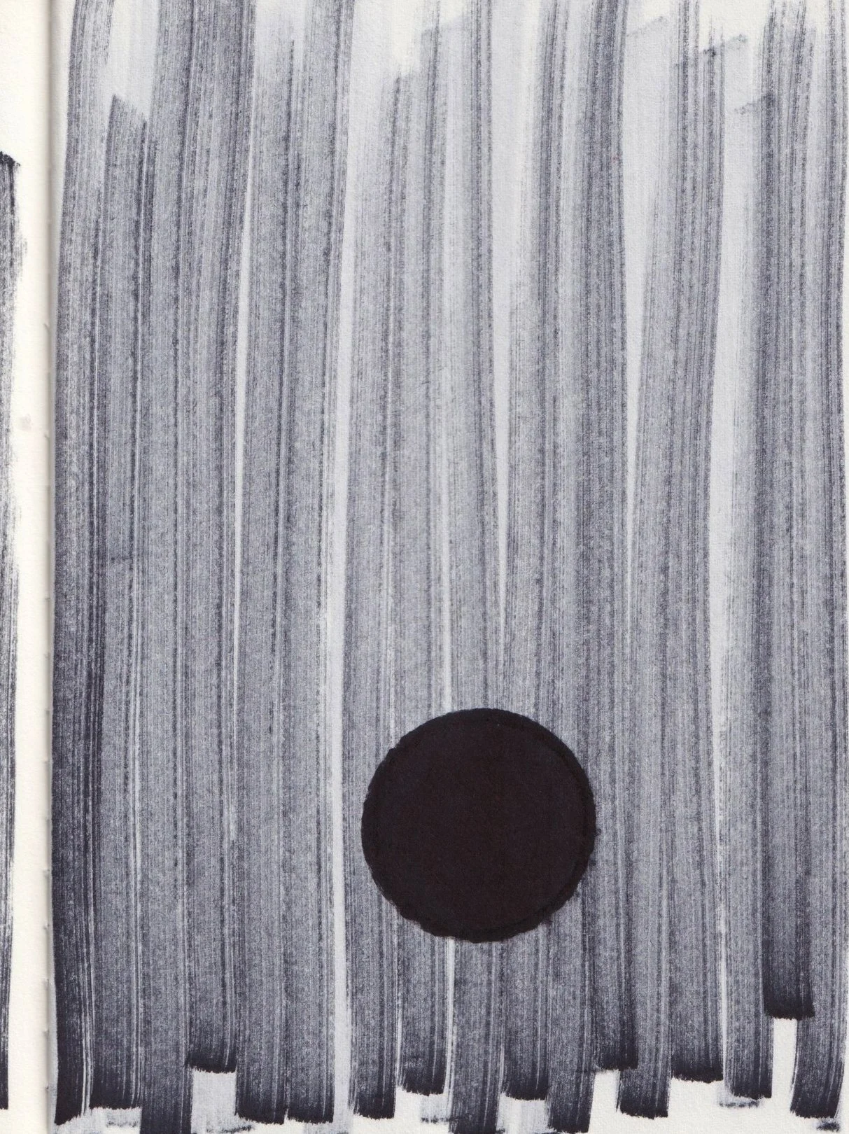 Andrew: Ink drawing from the Lives of Seeds series