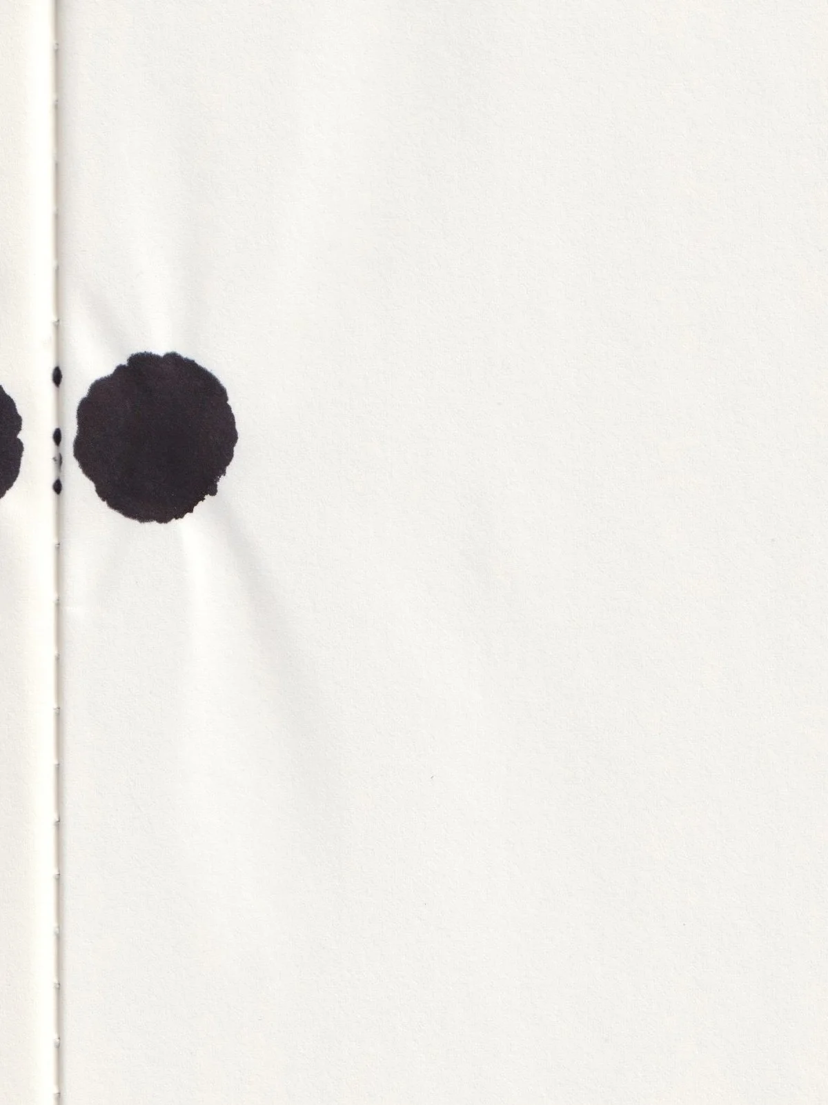 Eve & Zoe: Ink drawing from the Lives of Seeds series