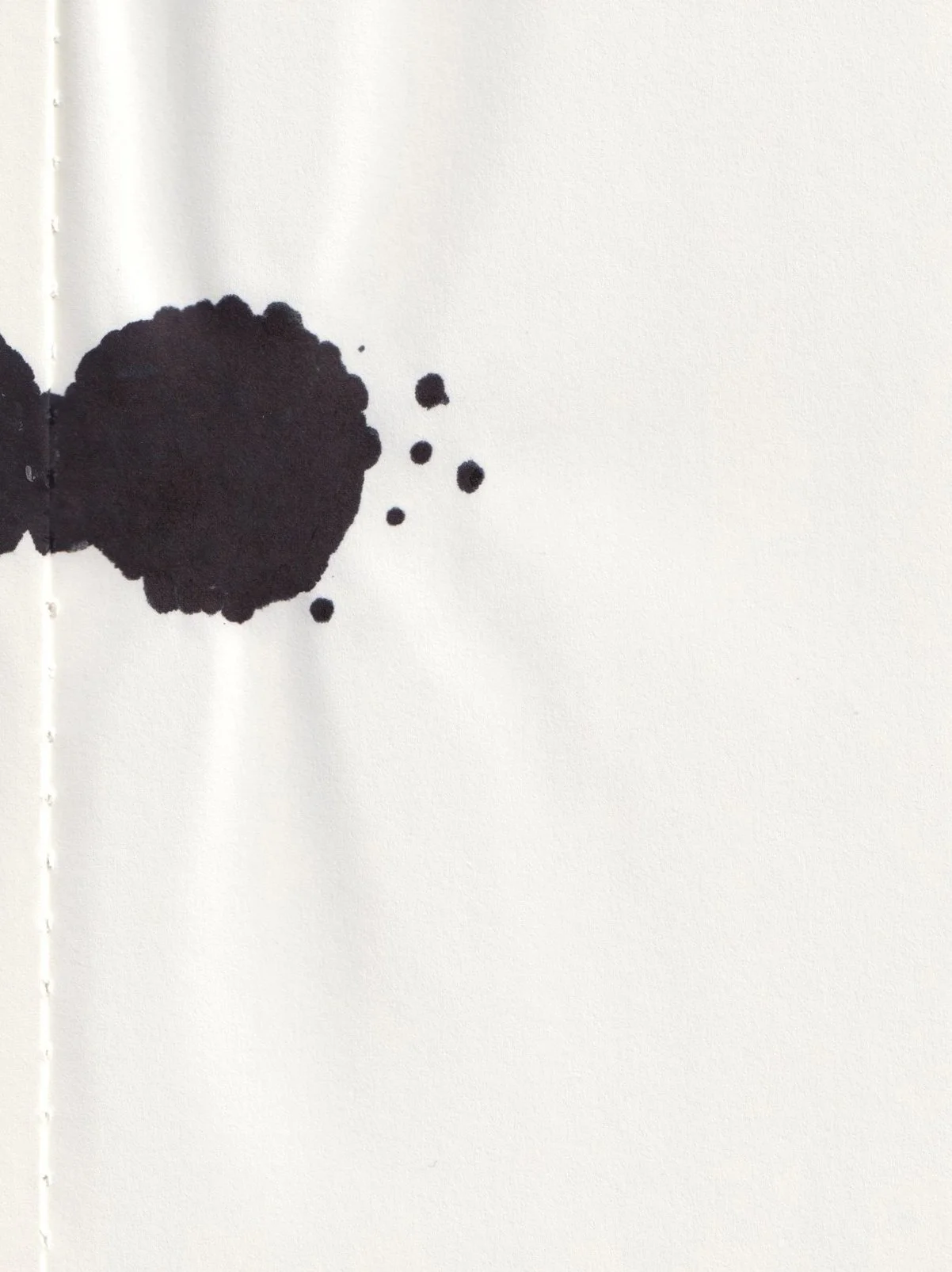 Eve & Zoe: Ink drawing from the Lives of Seeds series