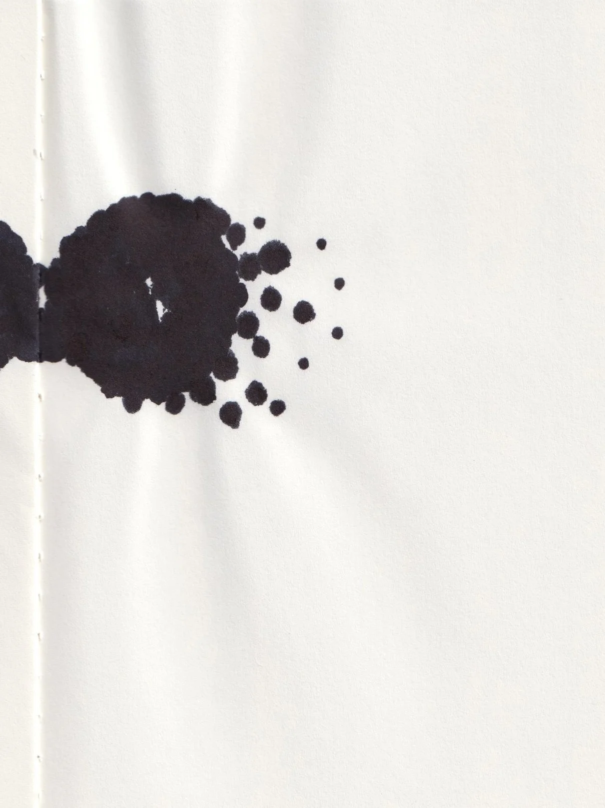 Eve & Zoe: Ink drawing from the Lives of Seeds series