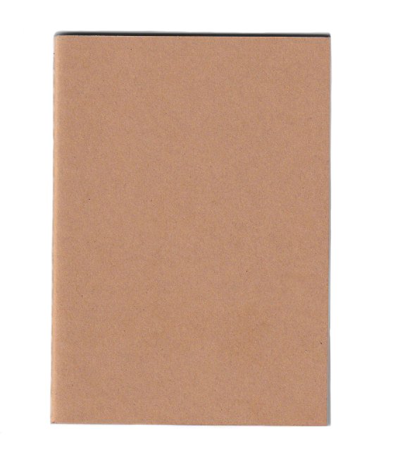 Eve & Zoe: Ink drawing from the Lives of Seeds series