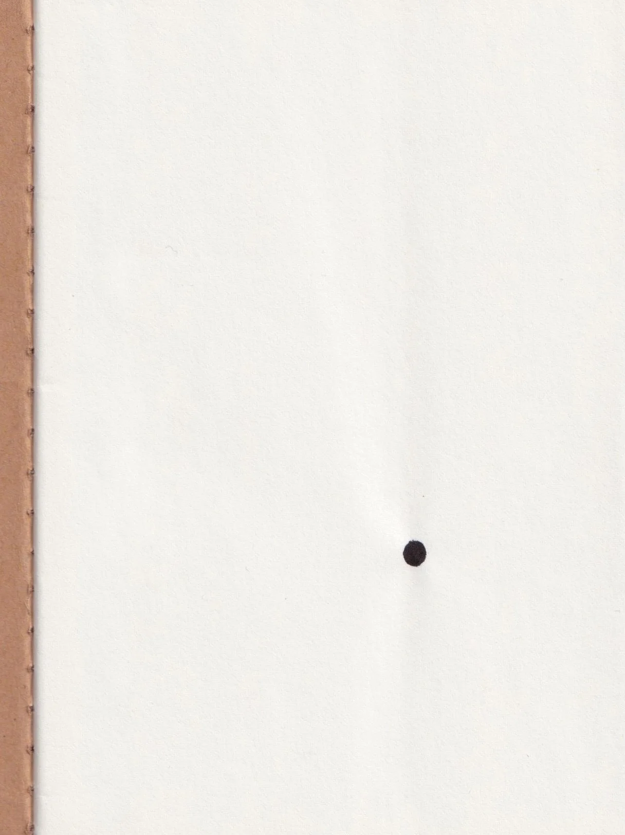 Knox: Ink drawing from the Lives of Seeds series