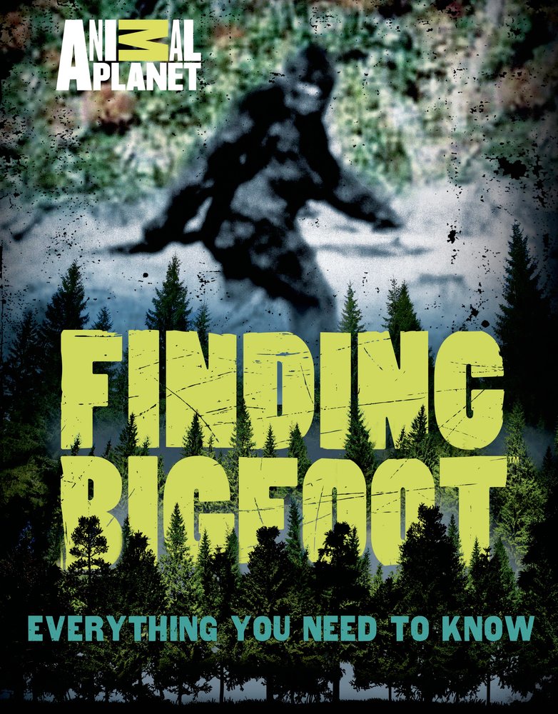 Finding Bigfoot Ocean Of Games - Colaboratory