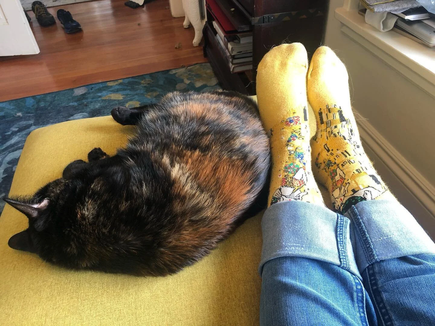 Martha Brockenbrough Author