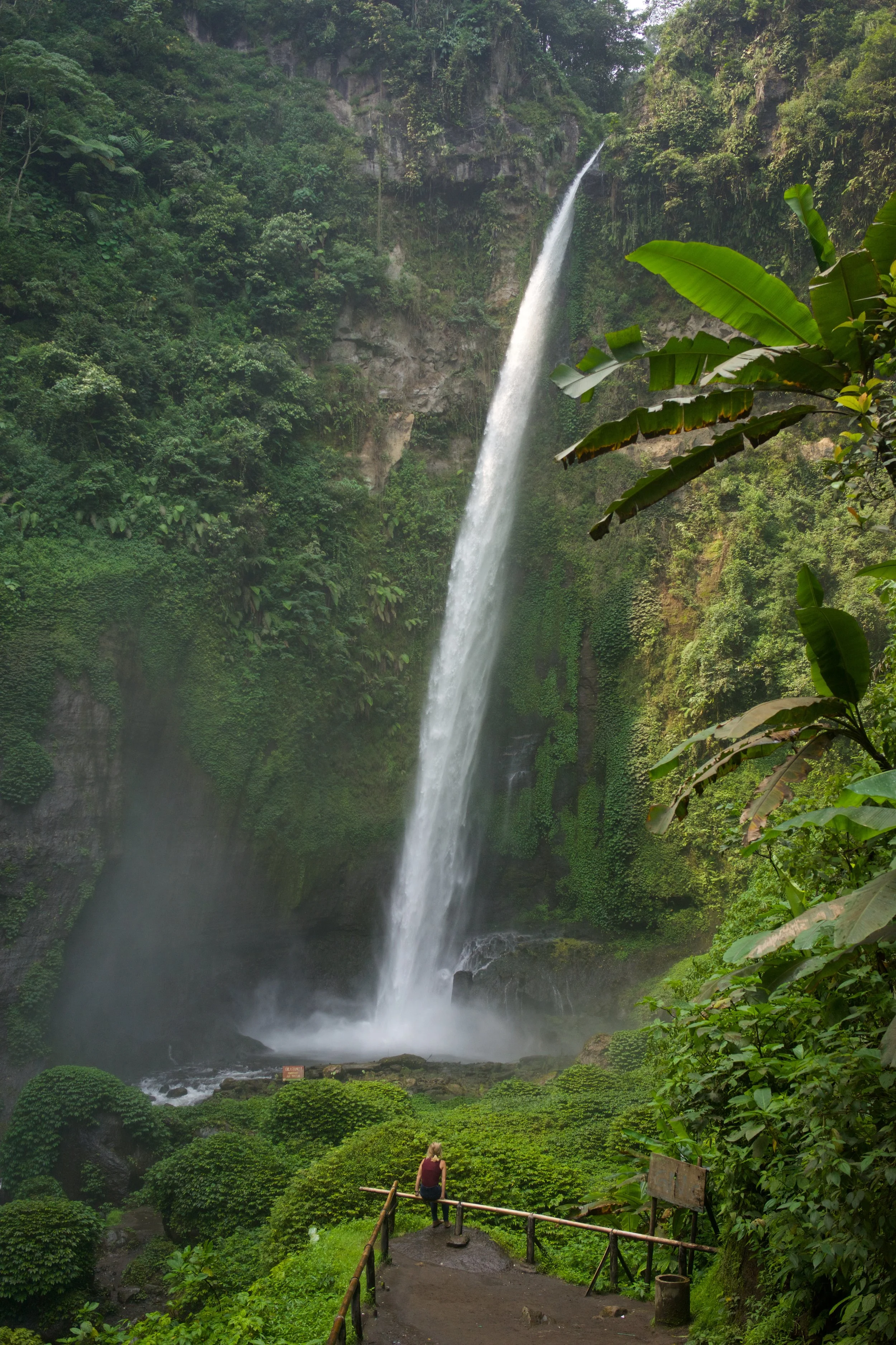 DSC01847 copy_conv (3).jpg