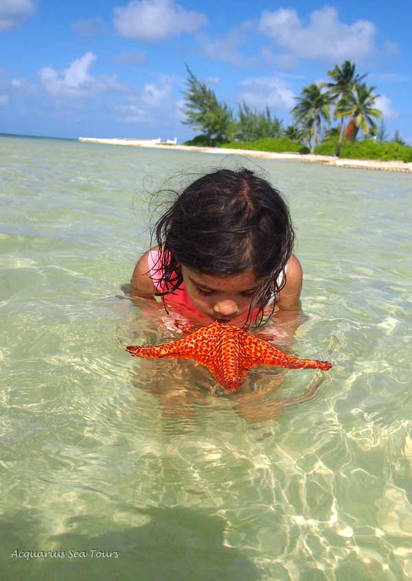 Things to do on vacation in Grand Cayman