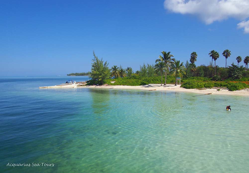 Ripples at Starfish Point