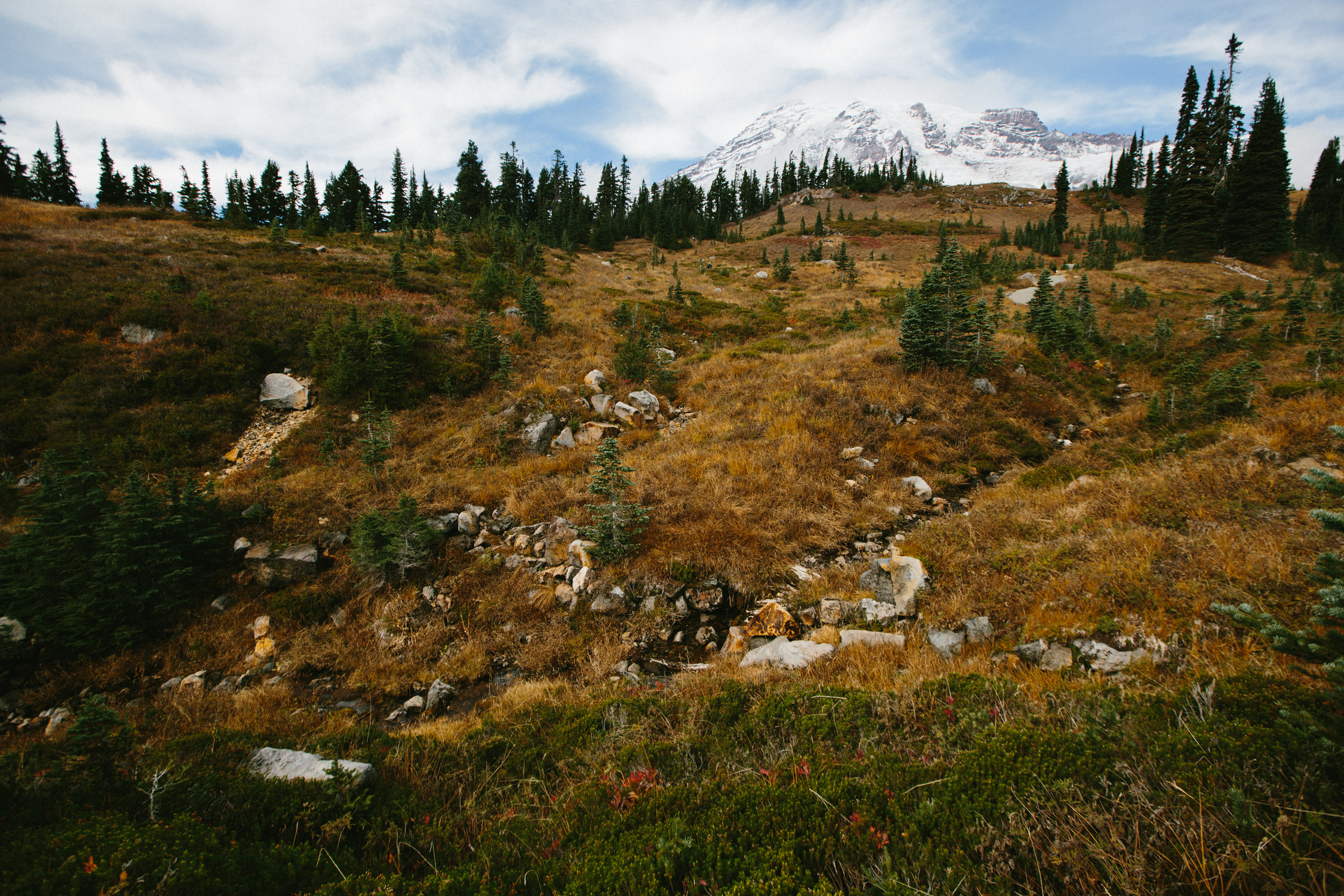 Mt. Ranier