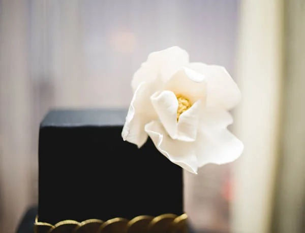 FourSeasons_StyledShoot_SHHIVIKACHAUHANPHOTOGRAPHY81.jpg