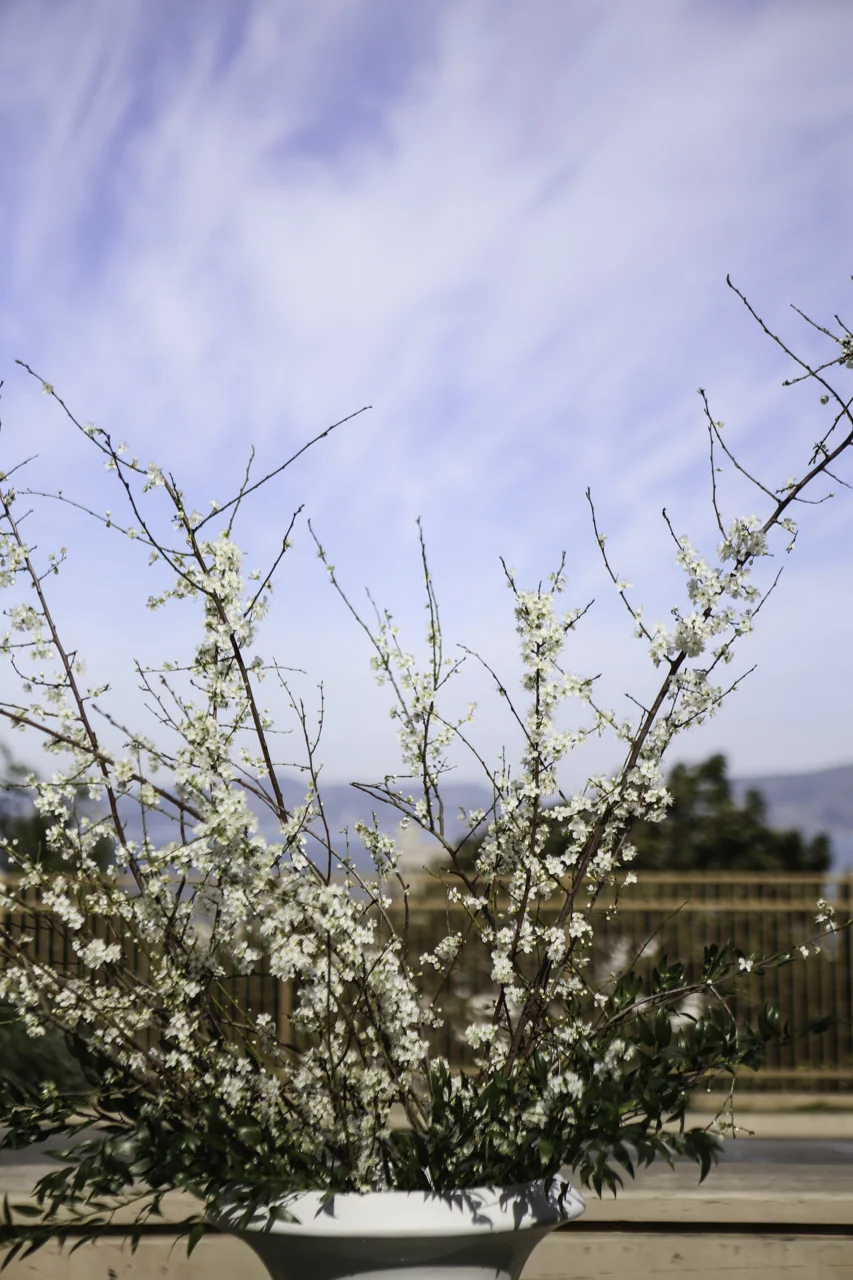 WIPA-Hamlin-Misti-Layne_004 - Copy.jpg