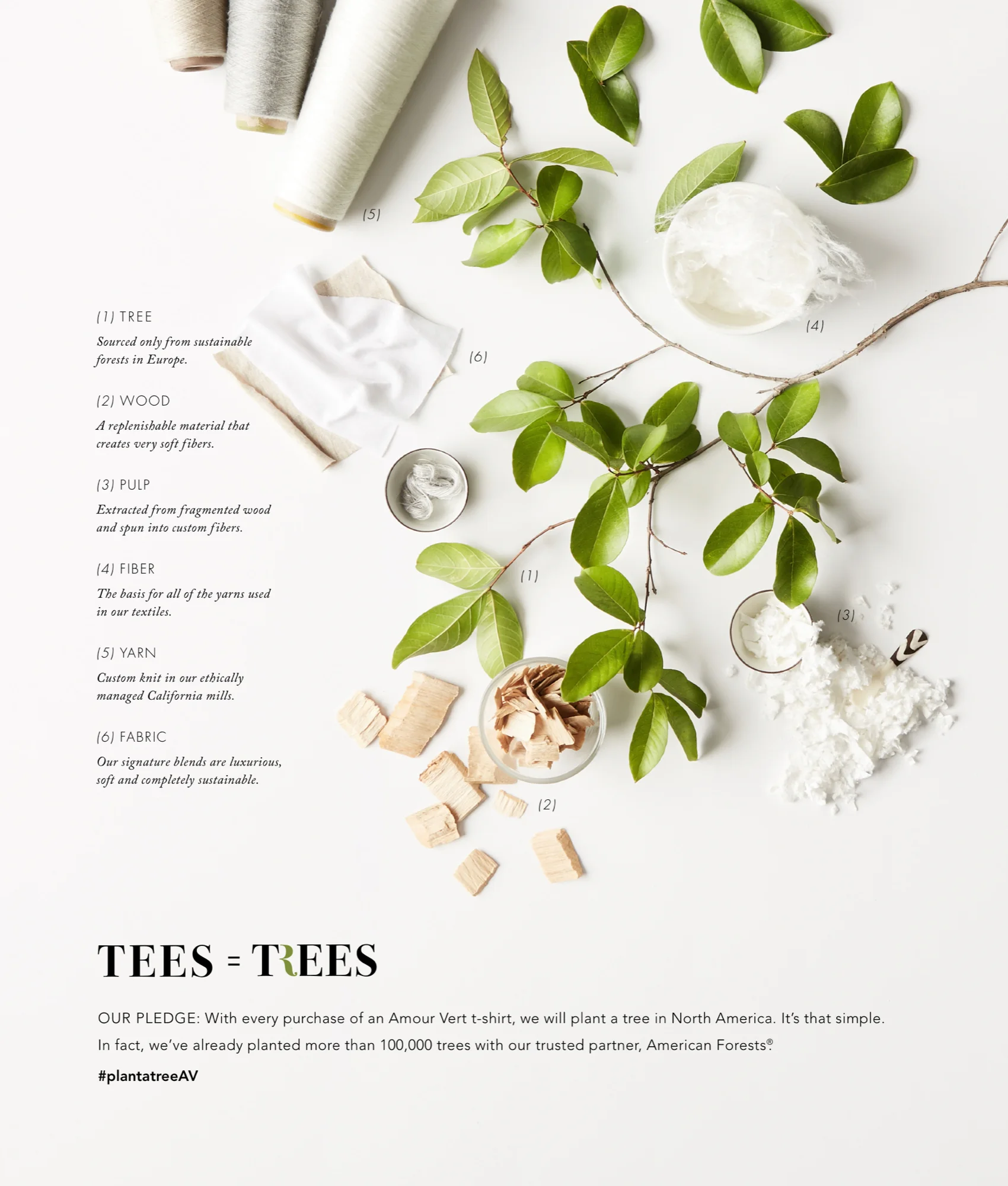 Amour Ver Catalog- Select Pages_4_web.jpg