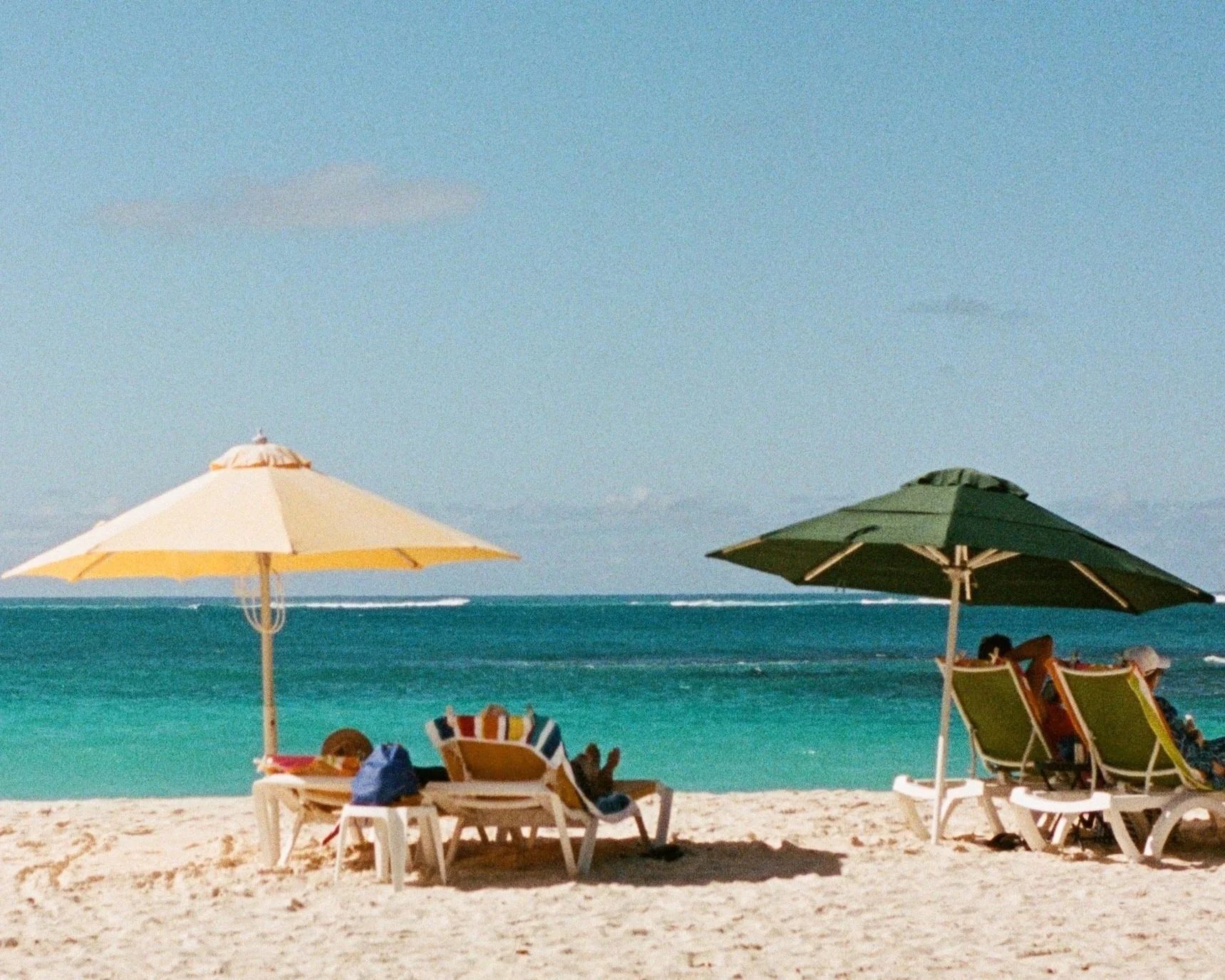 000064190013-Crop-Web.jpg