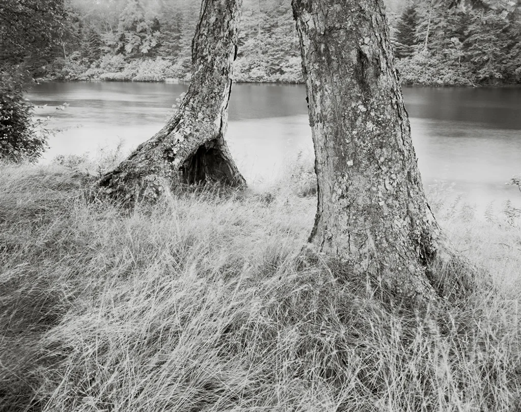Teich.Thomas.10.jpg