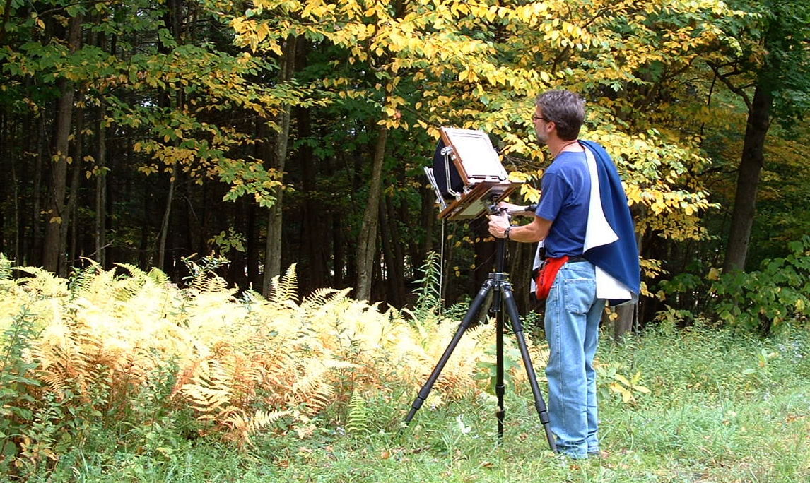 Thomas Teich Photographic Arts - J'aime Fougère (I Love Ferns)