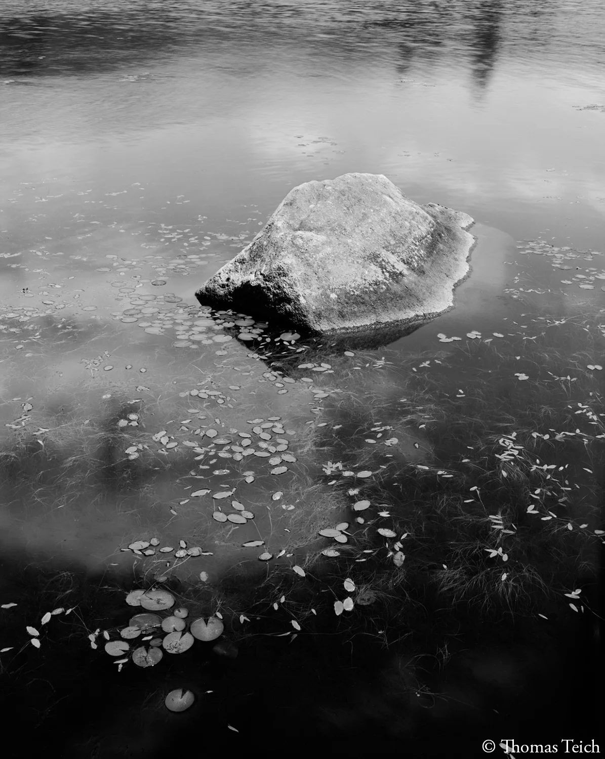Boulder, lily pads, reflections, Elk Lake
