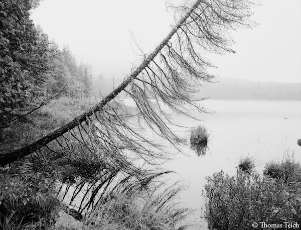 teich_adirondack_mtns6.jpg
