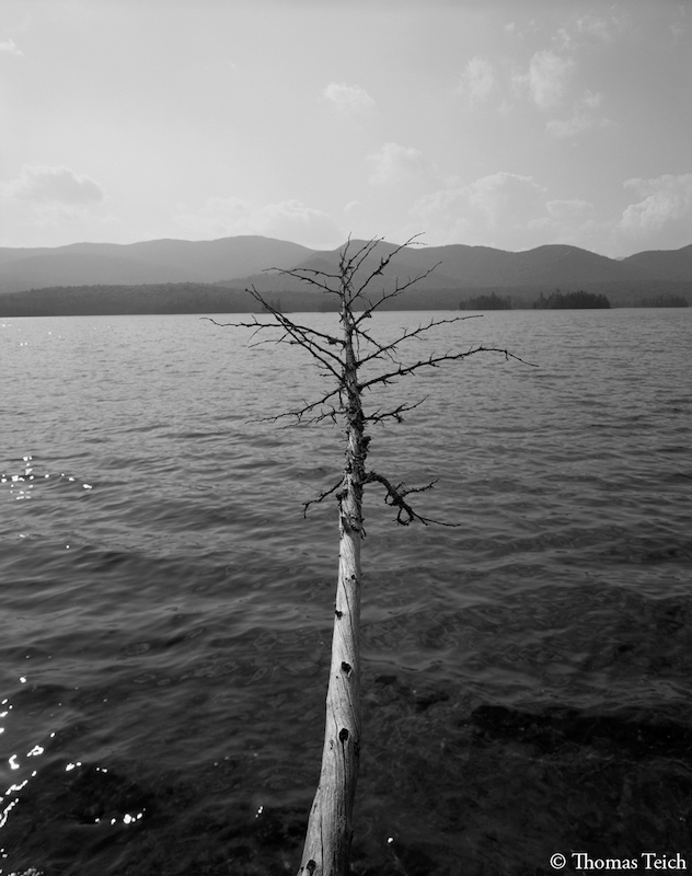 teich_adirondack_mtns11.jpg
