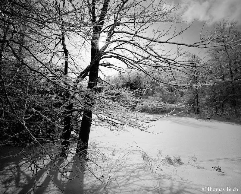 Teich_catskill_mtns_1.jpg