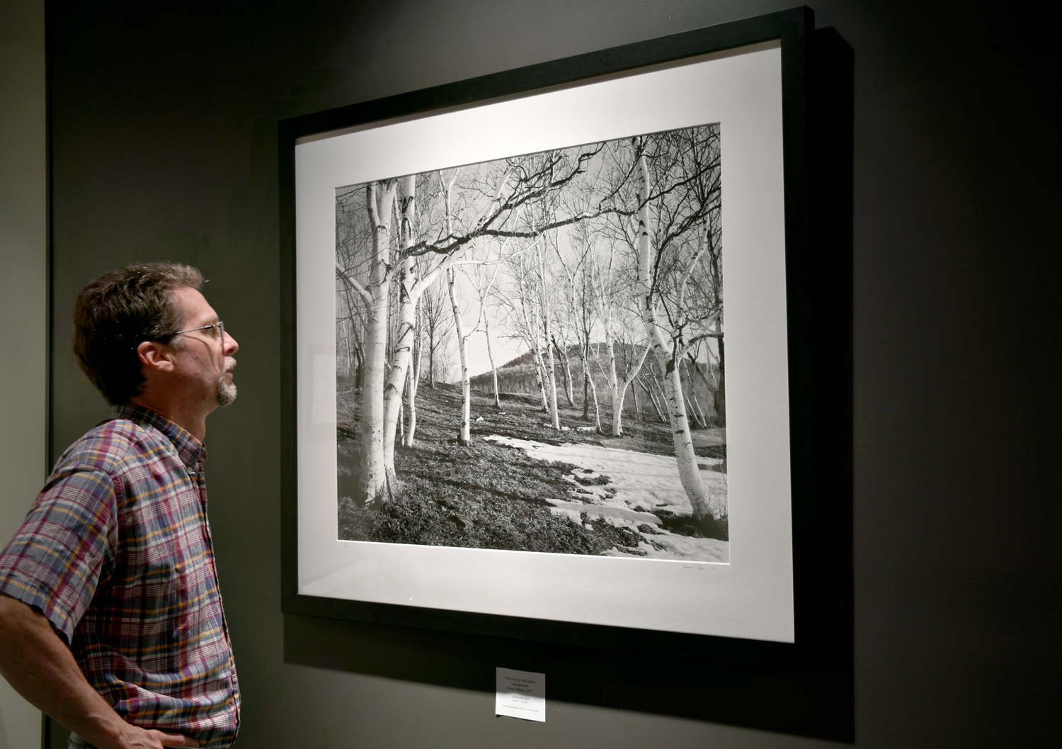 Thomas Teich Photographic Arts Studio & Gallery