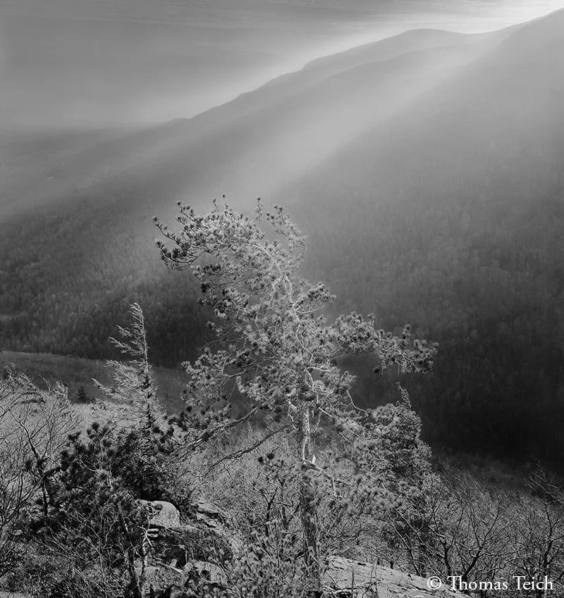 Photographing the Platte Clove, Catskill Mountains, New York. Autumn light at sunset.
