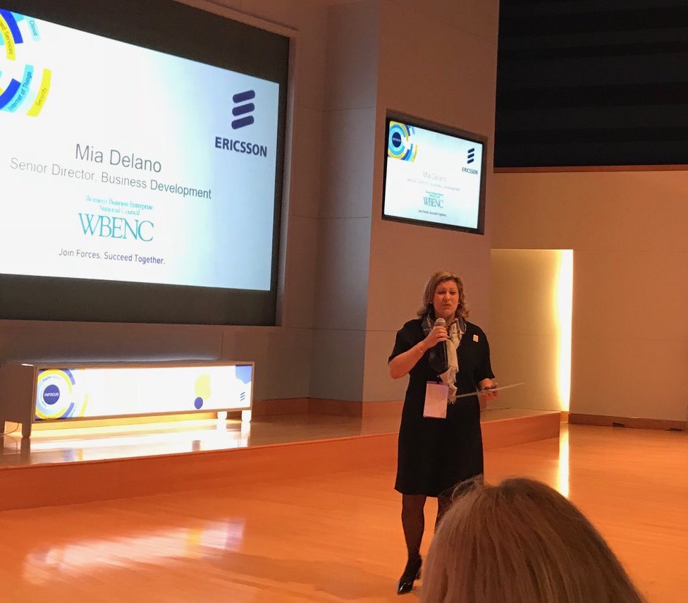 9. Ericsson Supplier Diversity MatchMaker Event