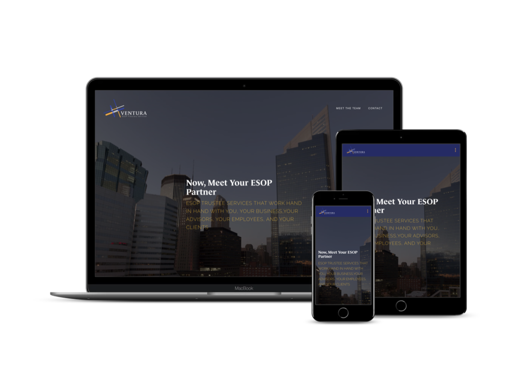 ESOP-minneapolis-one-day-website-build.jpg