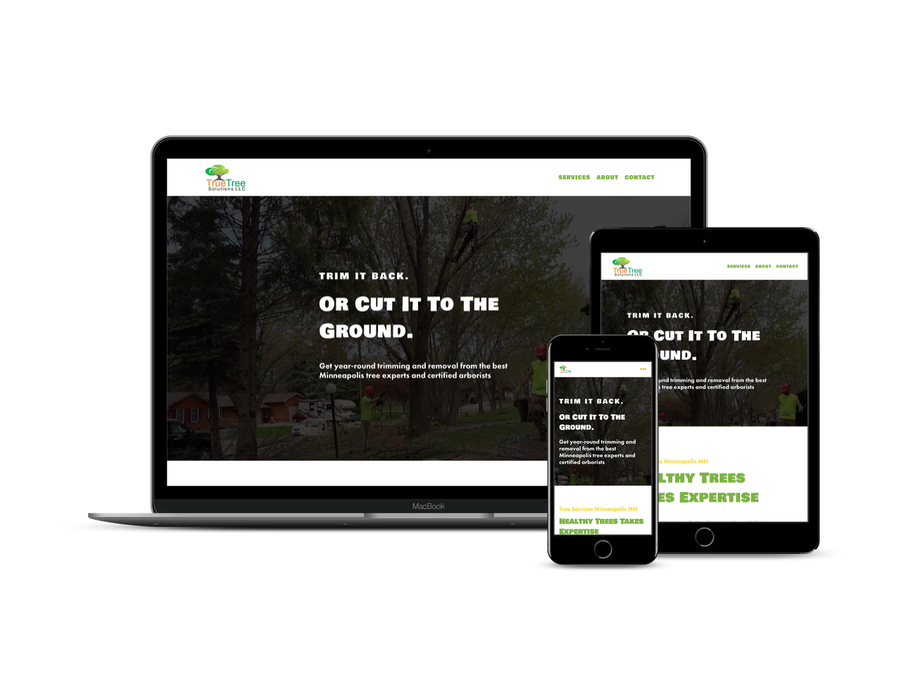 true-tree-minneapolis-1-day-website-build.jpg