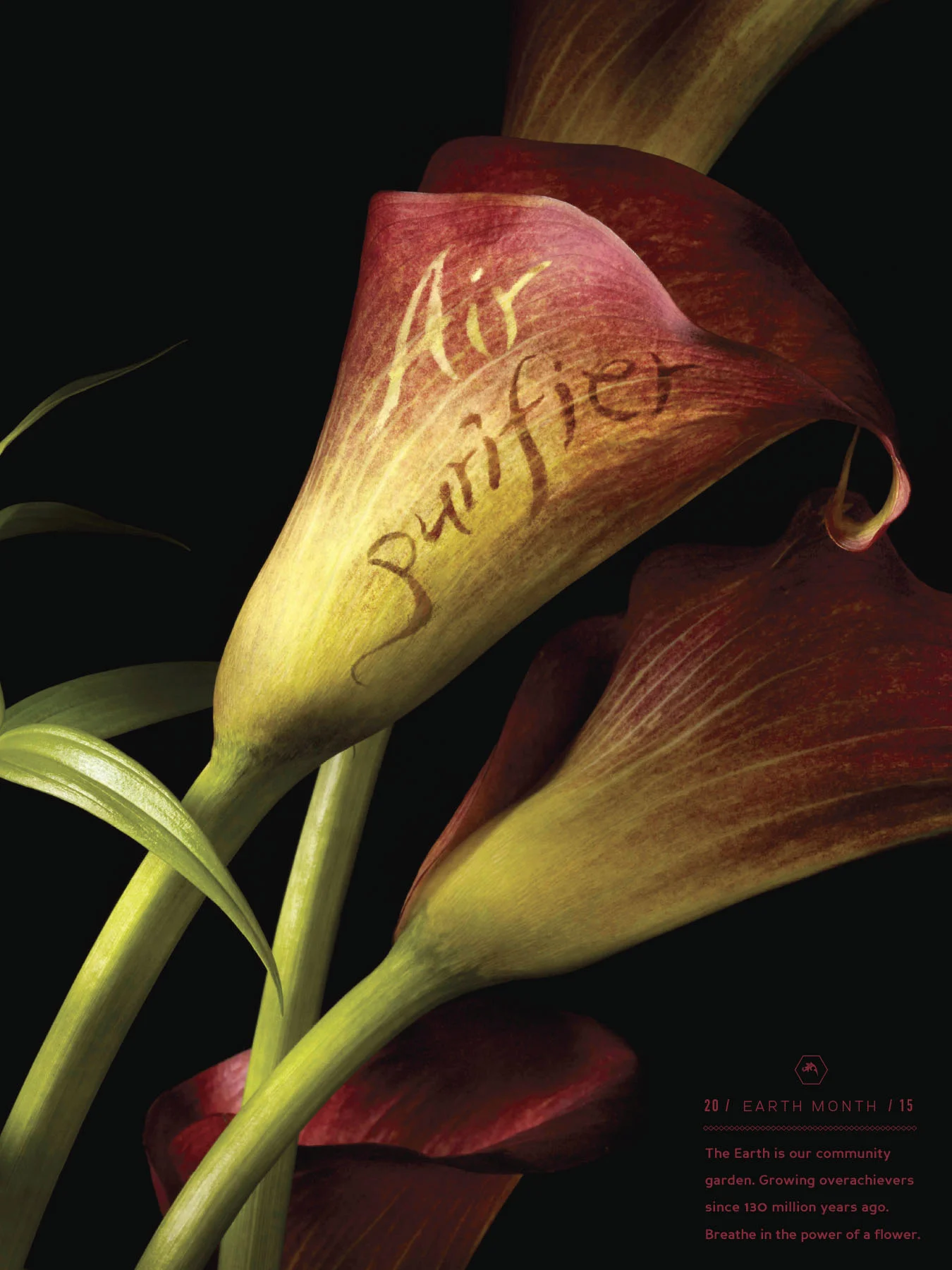 FlowerPower-2.jpg
