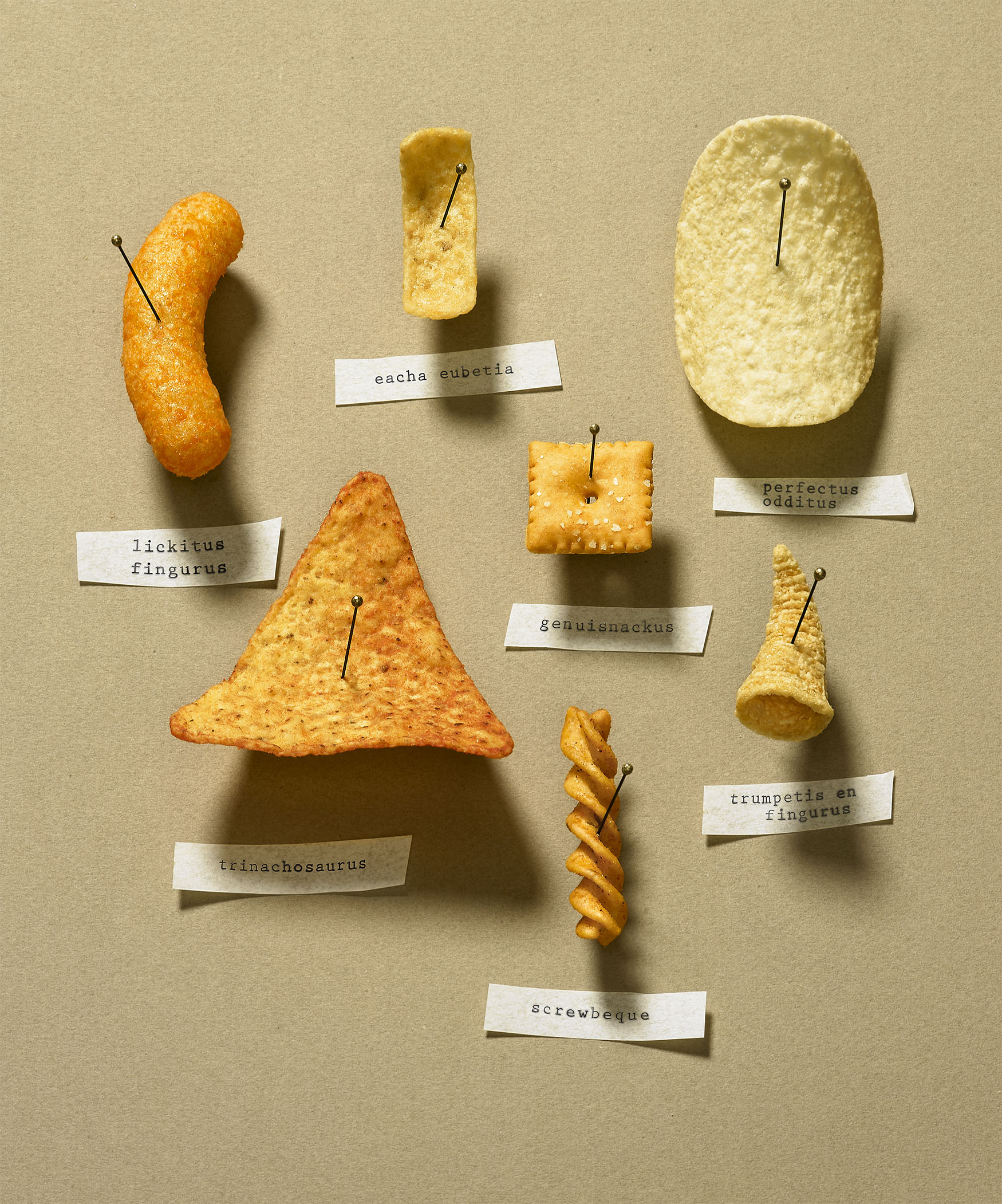 junk.specimens.build2.print.jpg
