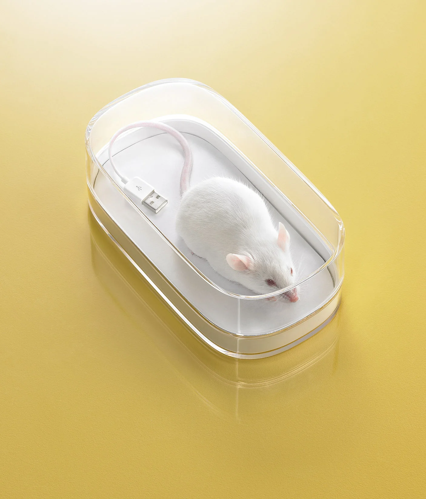 mouse.usb.jpg