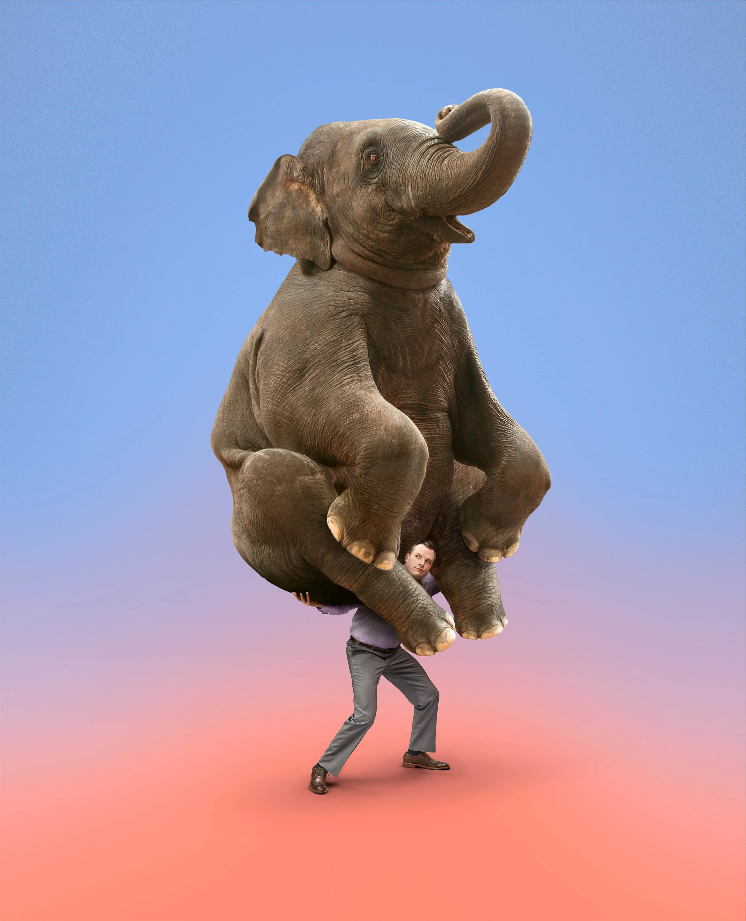 elephant.man.build5.jpg