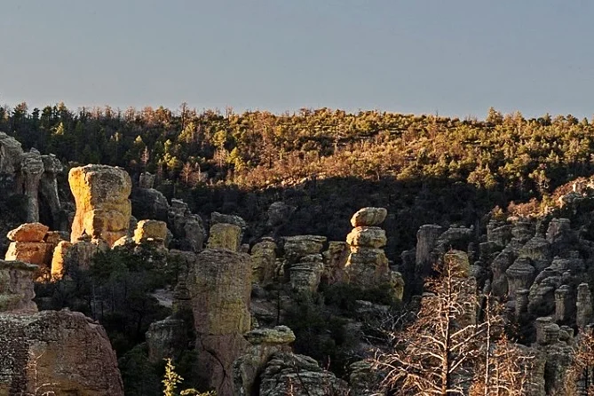 chirichuas.jpg