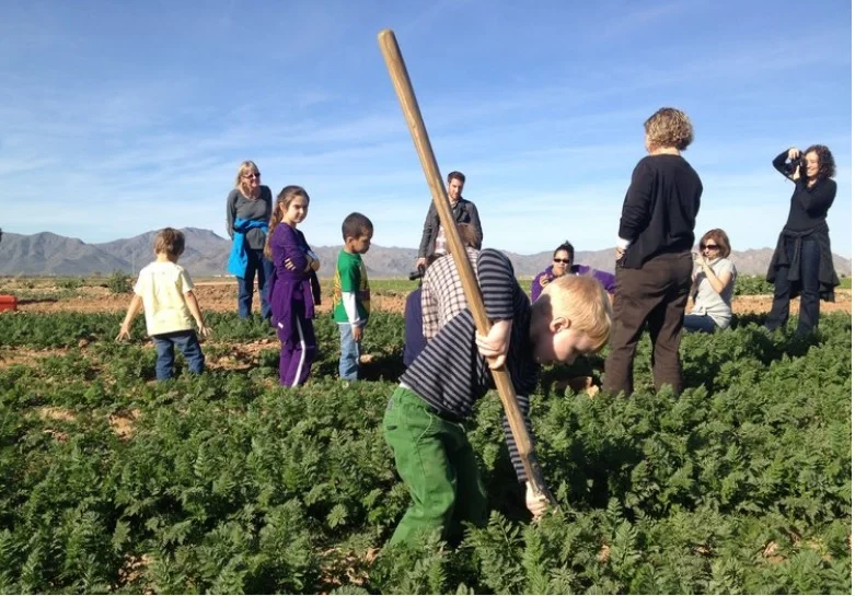 Moore family farm, courtesy of Greenbelt Hospitality