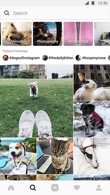Example of a user's Explore page.