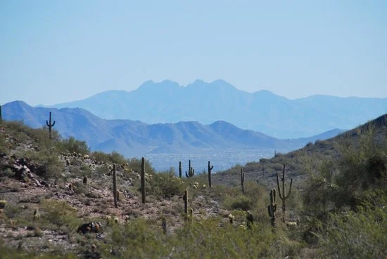 trail-100.jpg