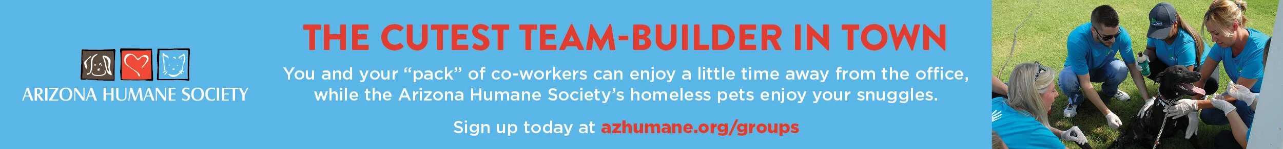 Group Volunteering Banner Ad.jpg