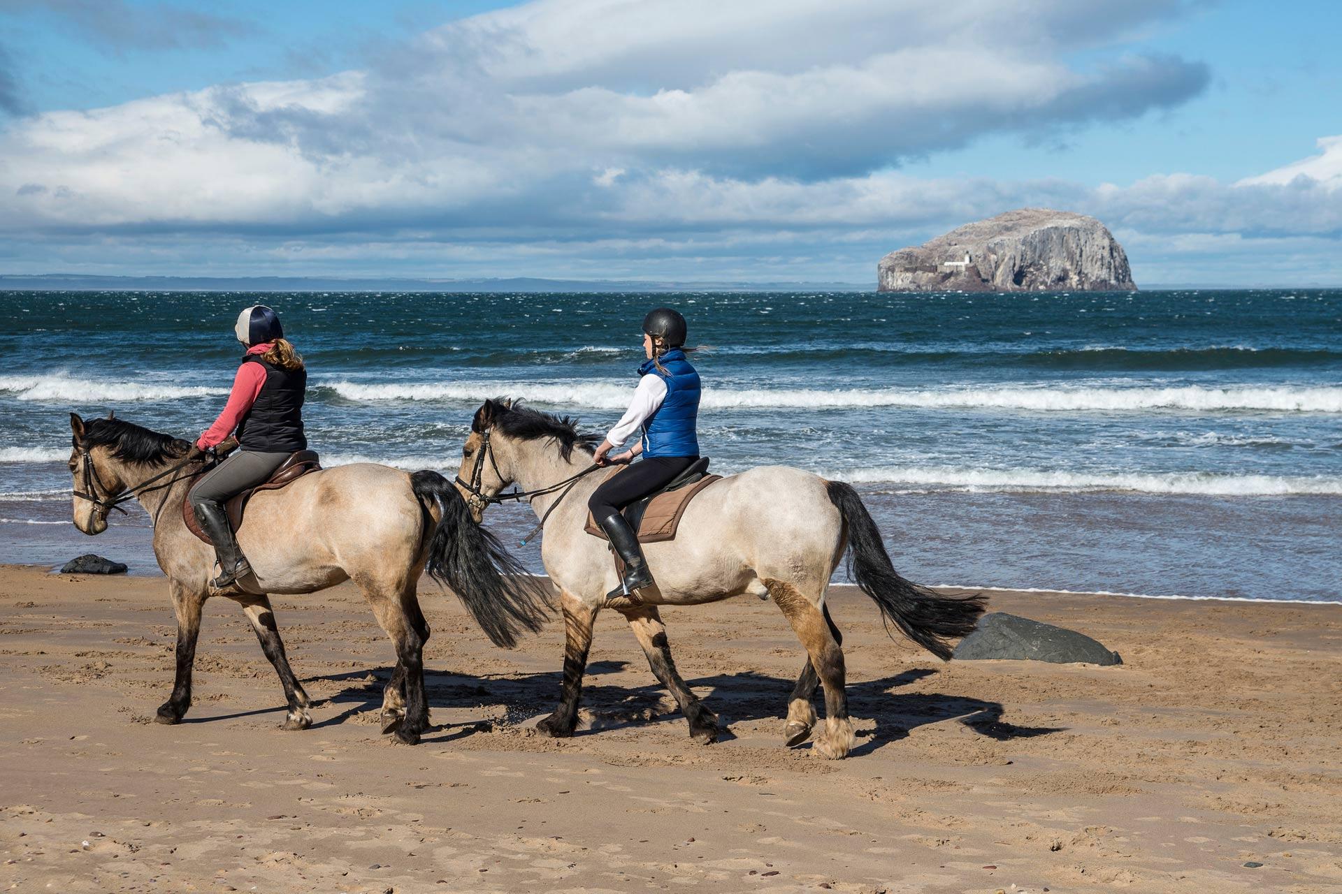 horse-riding-seacliff-beach.jpg