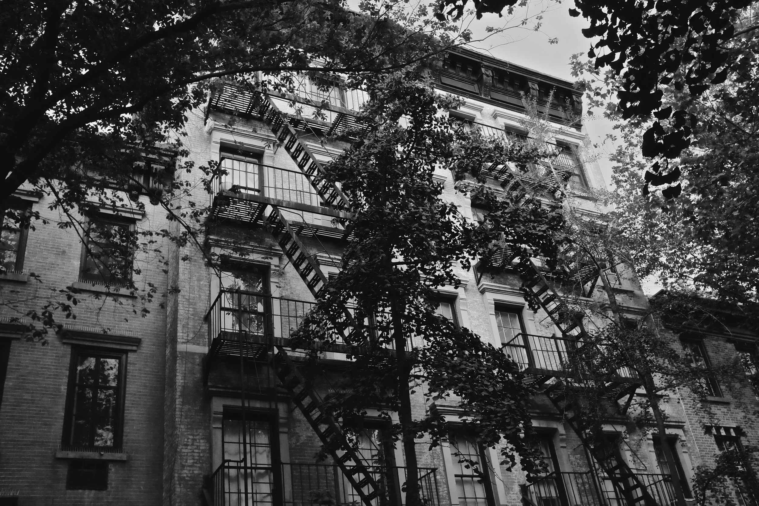 More Low-Level Arrests under de Blasio than Bloomberg