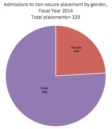 CLICK TO ENLARGE Source: Administration for Children's Services